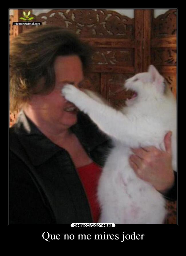 Que no me mires joder -