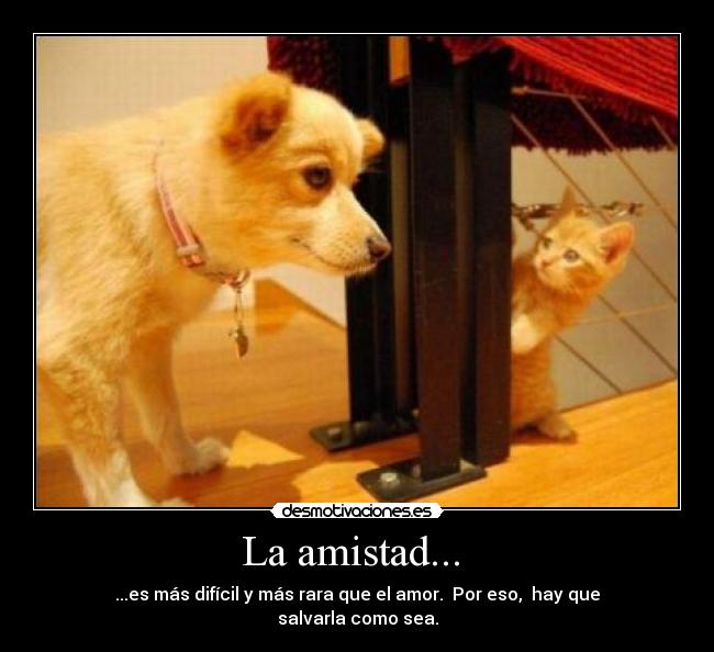 La amistad... -