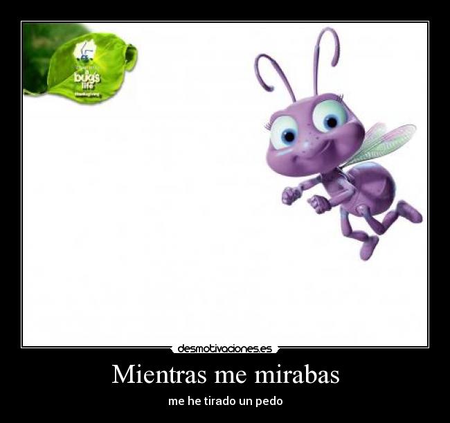 Mientras me mirabas - 