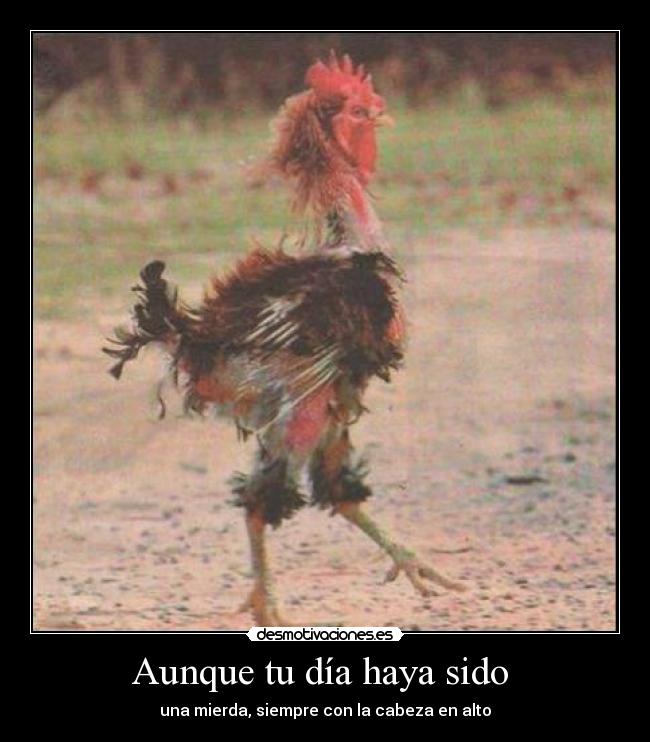 Aunque tu día haya sido -