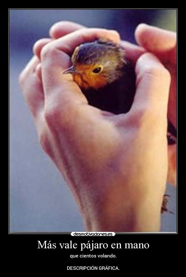 Más vale pájaro en mano - que cientos volando.
DESCRIPCIÓN GRÁFICA.
