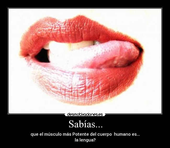 Sabías... -