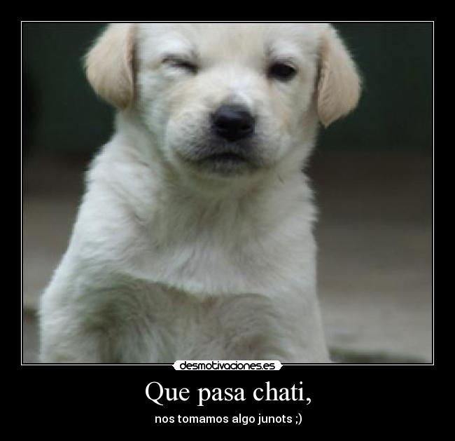 Que pasa chati, - 