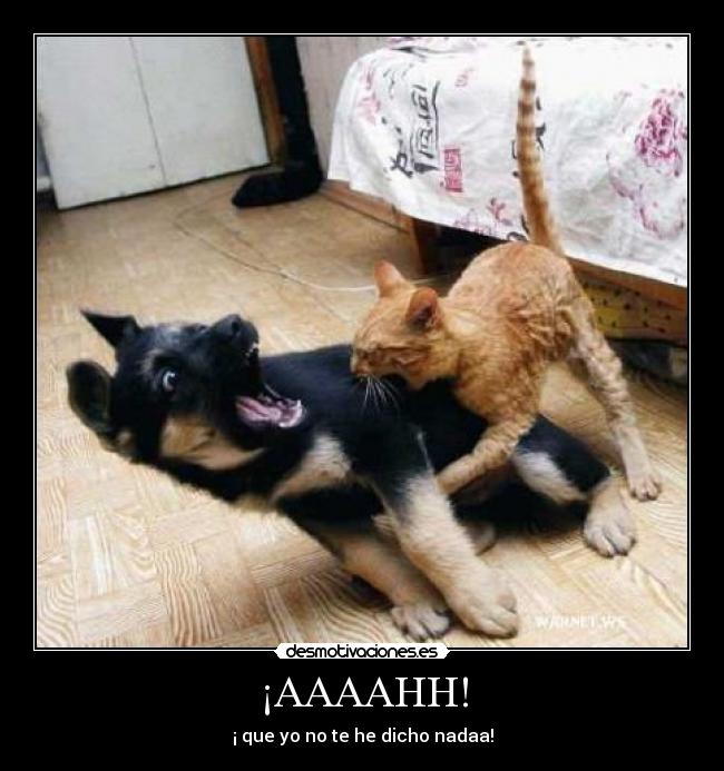 ¡AAAAHH! - 