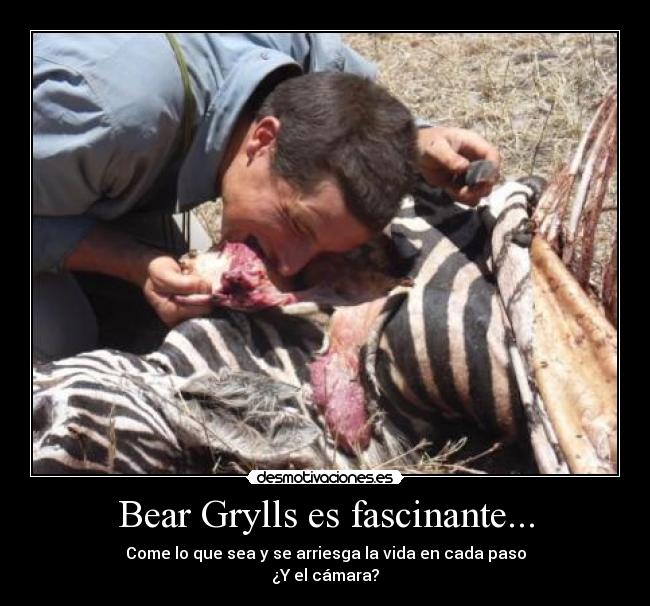 Bear Grylls es fascinante... - 