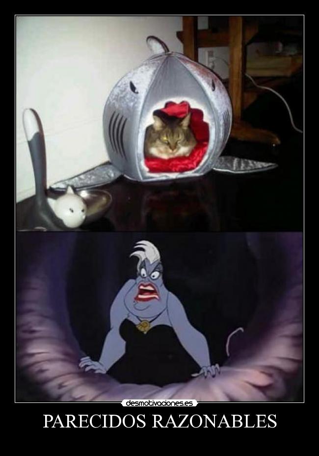 PARECIDOS RAZONABLES -