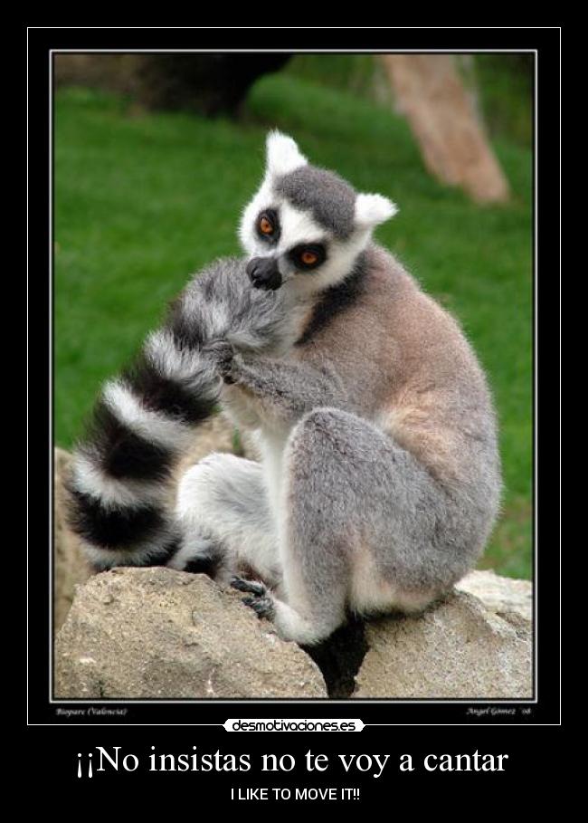 ¡¡No insistas no te voy a cantar  - I LIKE TO MOVE IT!!