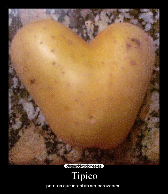 Tipico - 