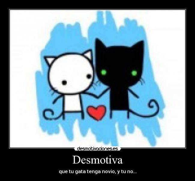 Desmotiva - que tu gata tenga novio, y tu no...