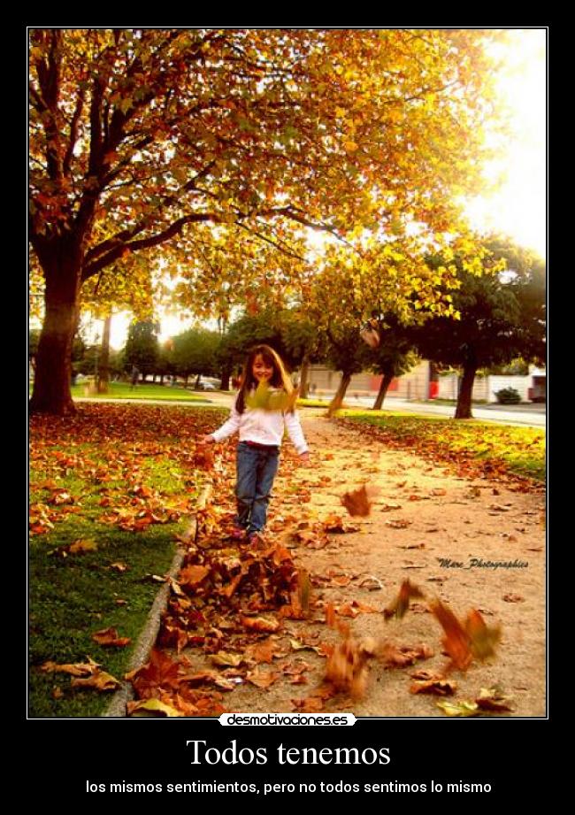 carteles sentimientos andrebieberf ryding desmotivaciones