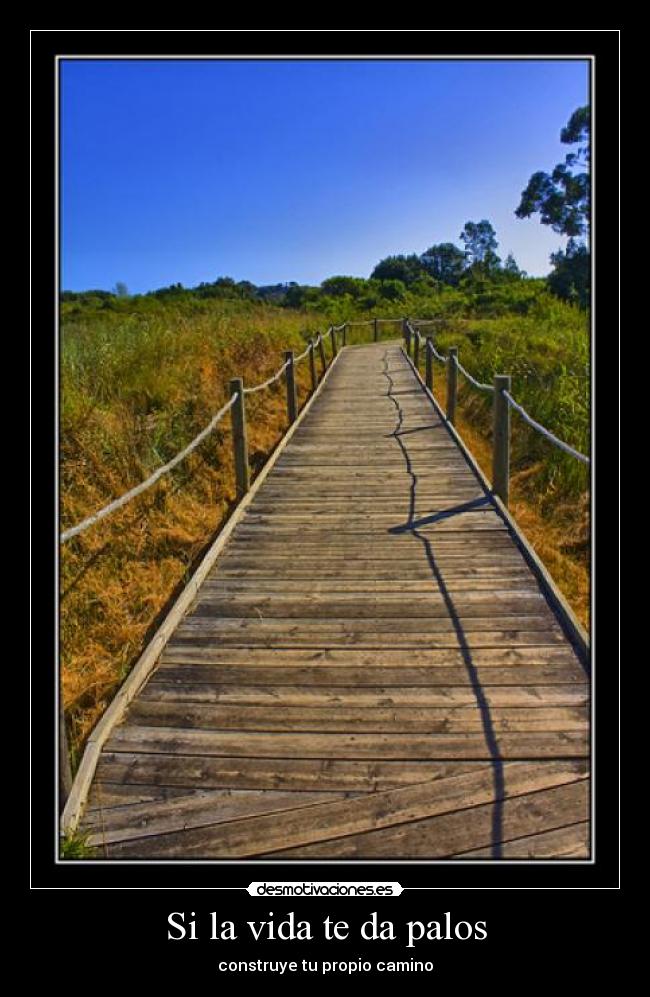 carteles vida caminos vida desmotivaciones