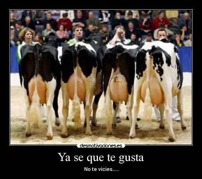 Ya se que te gusta - No te vicies.....