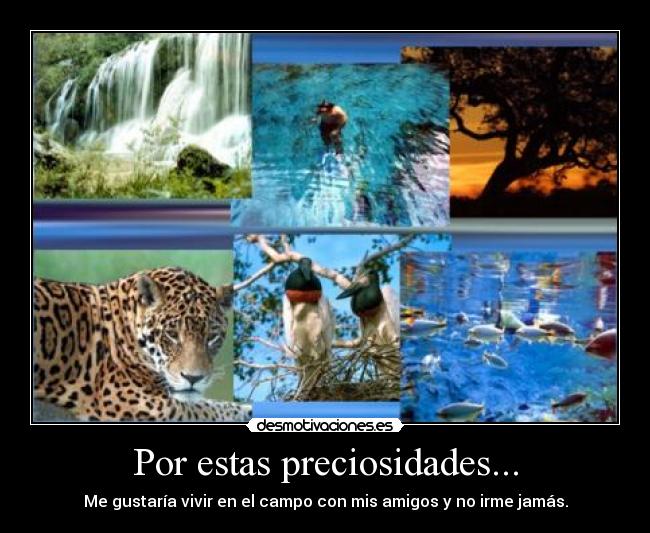 Por estas preciosidades... - Me gustaría vivir en el campo con mis amigos y no irme jamás.