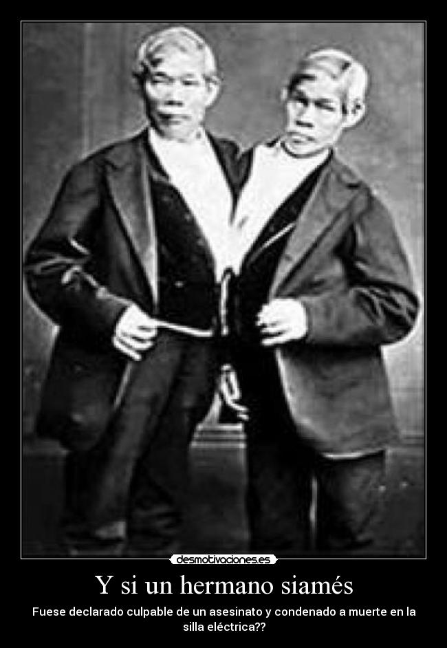 Y si un hermano siamés -