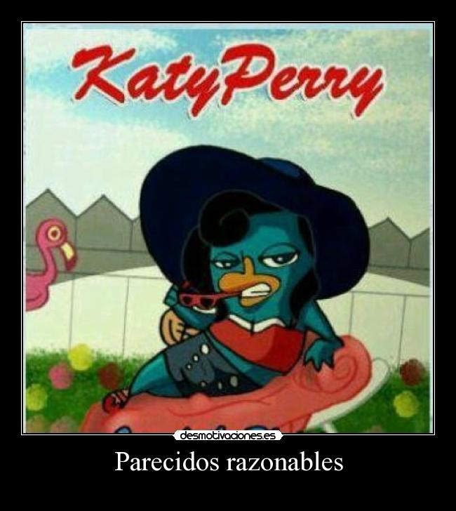 Parecidos razonables - 