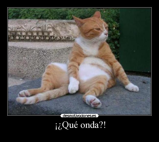 ¡¿Qué onda?! - 