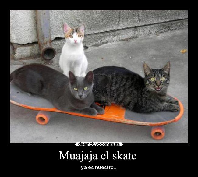 carteles xdxd desmotivaciones