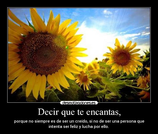 Decir que te encantas, -