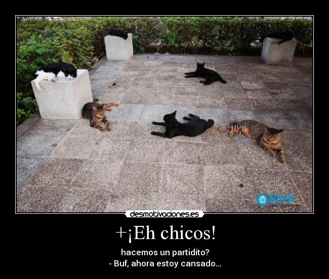 +¡Eh chicos! - hacemos un partidito?
- Buf, ahora estoy cansado...