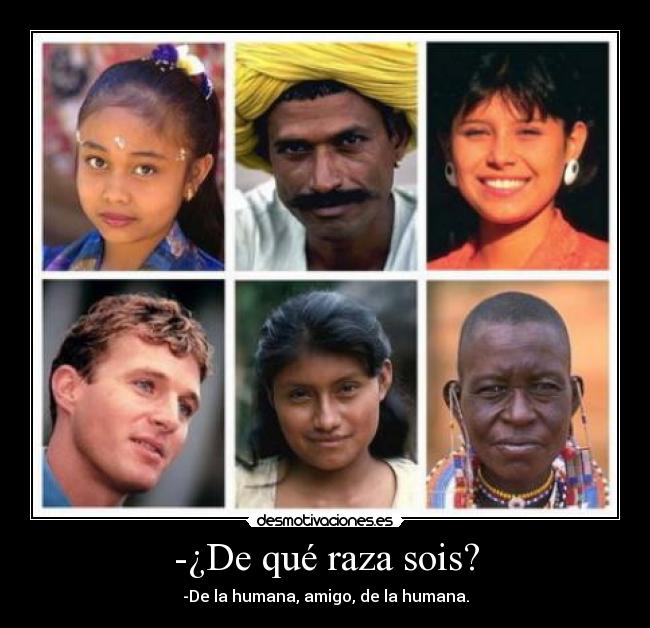 carteles verdad desmotivaciones