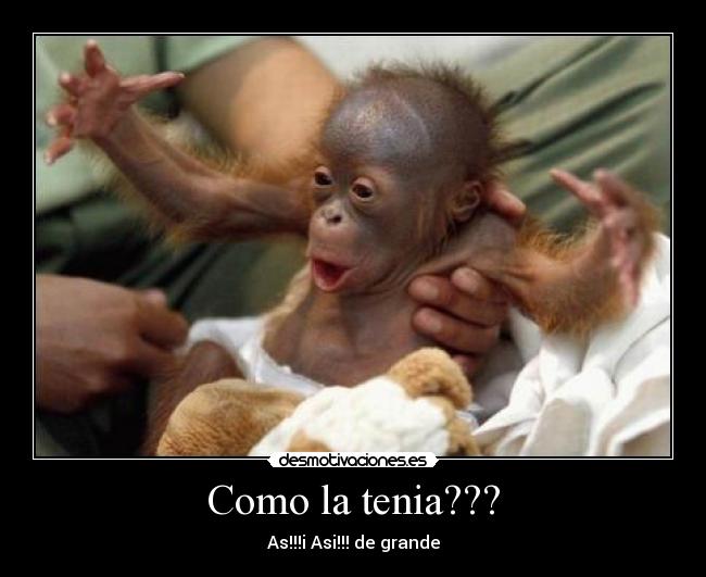 carteles lixini desmotivaciones