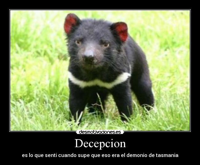 Decepcion - 