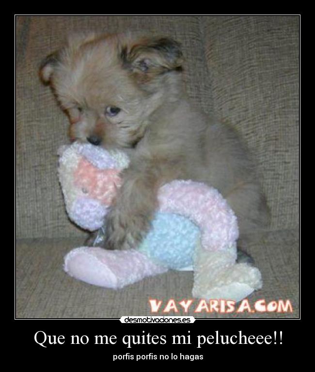Que no me quites mi pelucheee!! - 