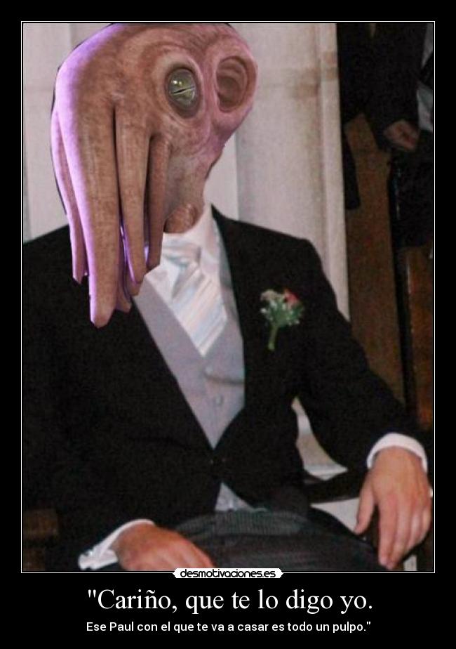 Cariño, que te lo digo yo. -