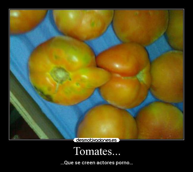 Tomates... -