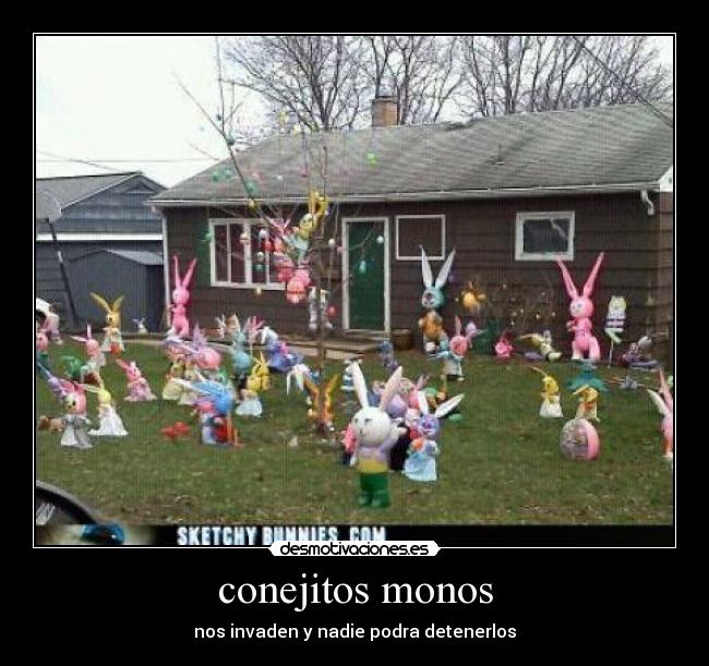 conejitos monos - 