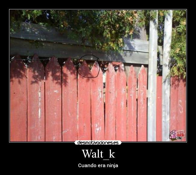 Walt_k -