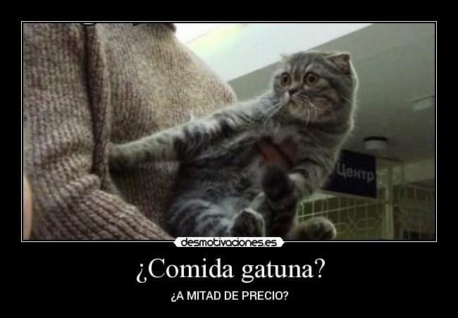 ¿Comida gatuna? - 