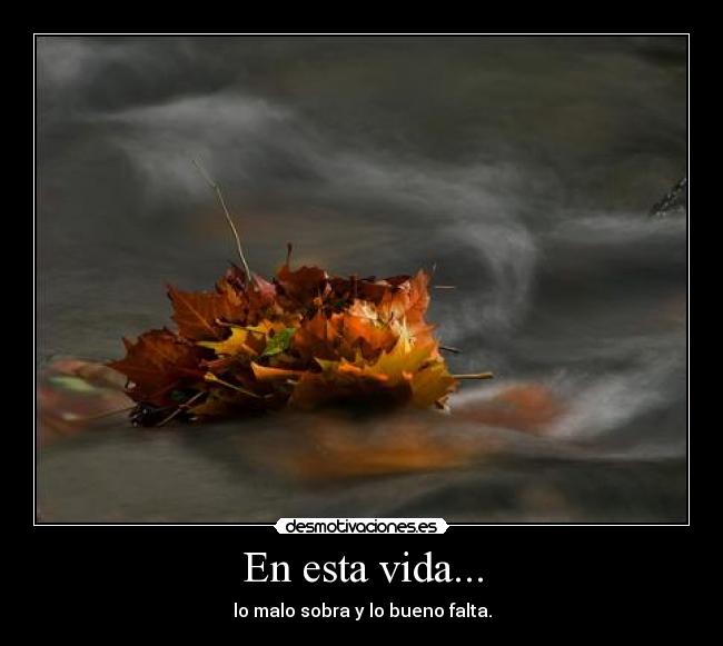 En esta vida... - 