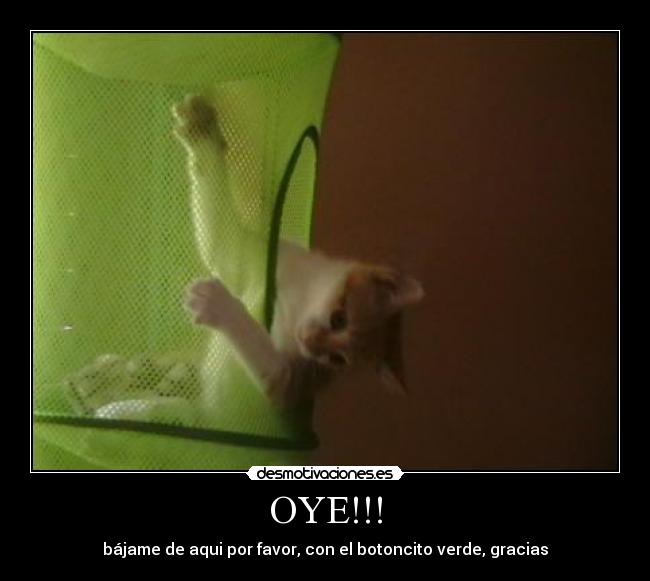 OYE!!! - bájame de aqui por favor, con el botoncito verde, gracias