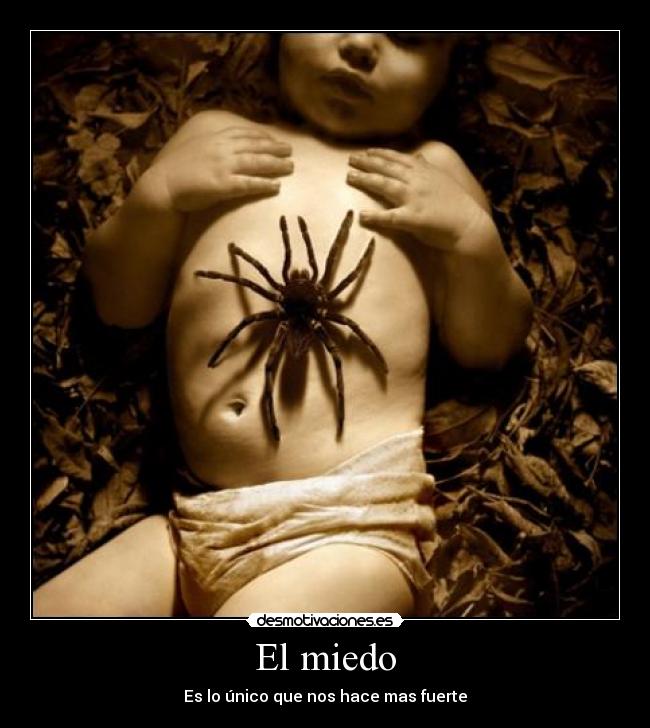 El miedo - 