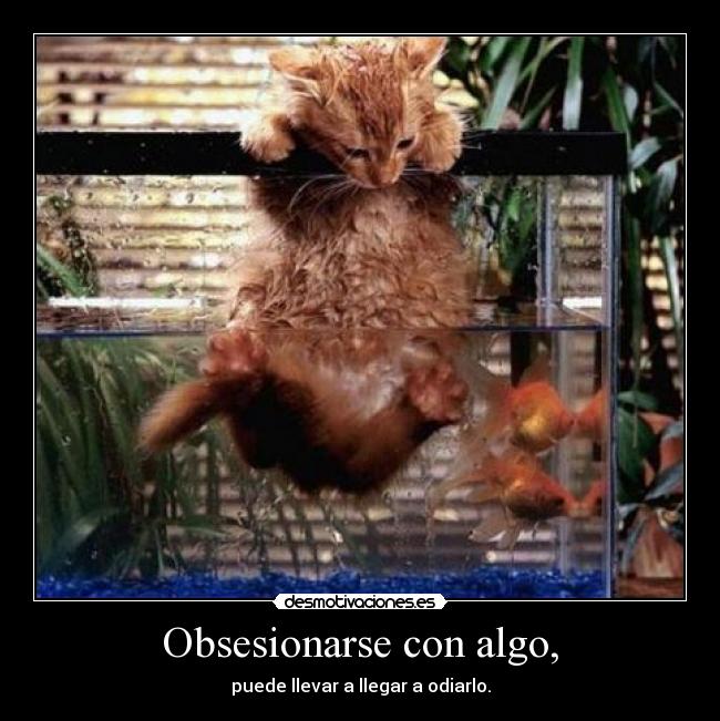 Obsesionarse con algo, - puede llevar a llegar a odiarlo.