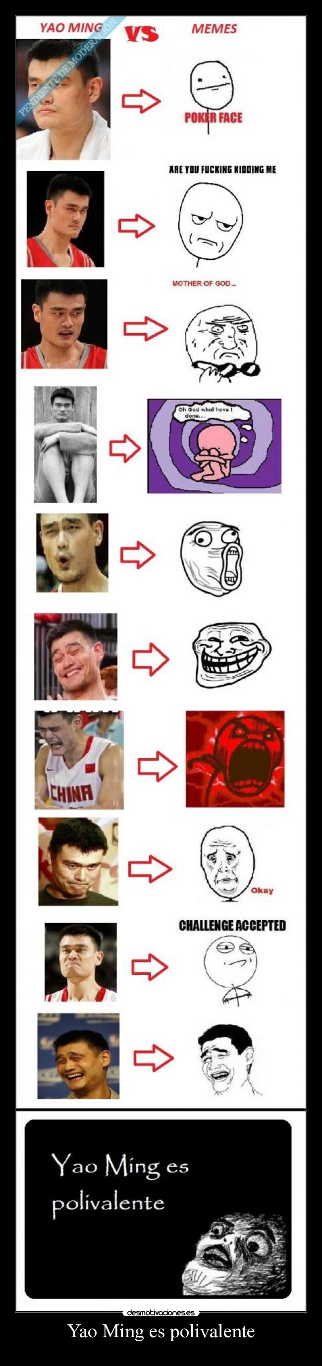 Yao Ming es polivalente -