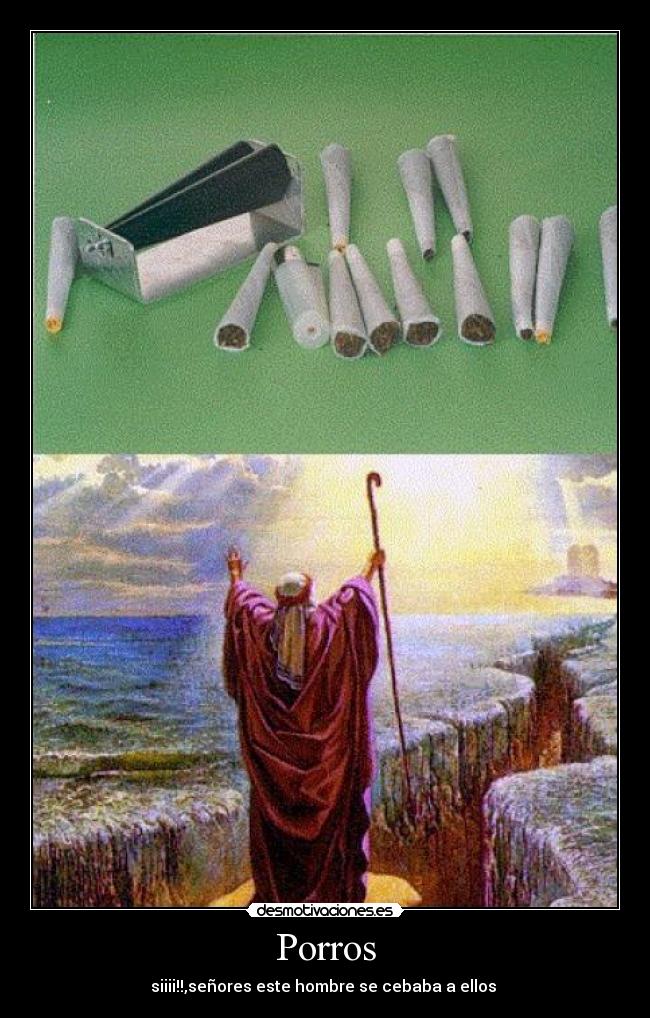 carteles efectos los porros desmotivaciones