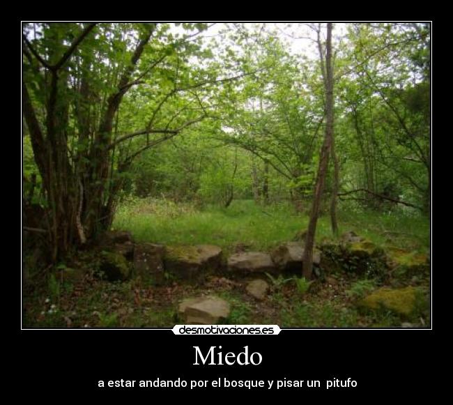 Miedo - a estar andando por el bosque y pisar un pitufo