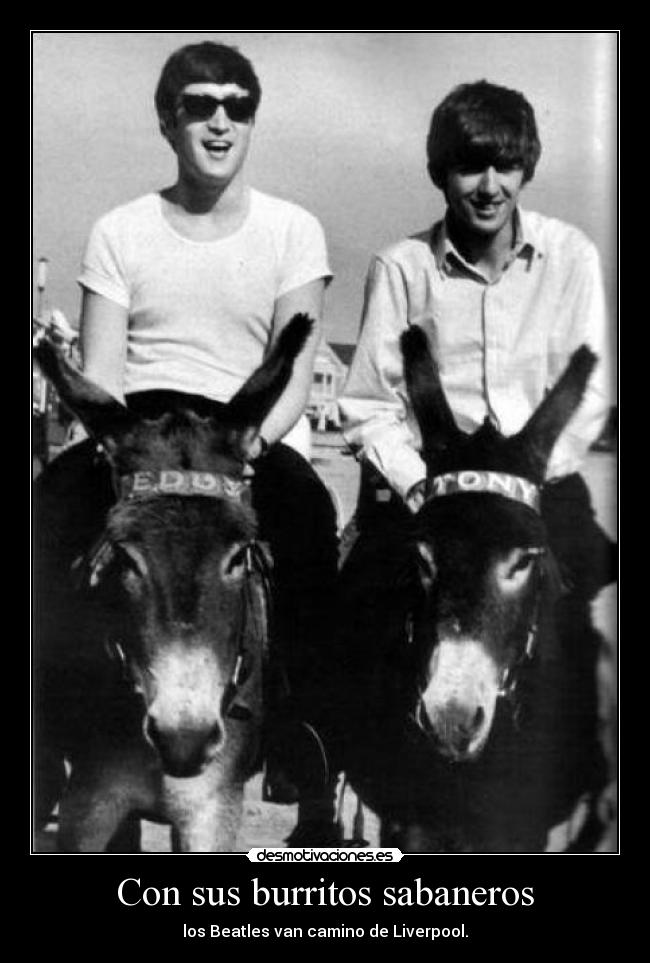 Con sus burritos sabaneros - los Beatles van camino de Liverpool.