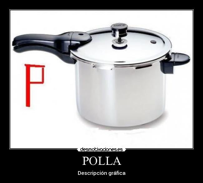 POLLA - Descripción gráfica