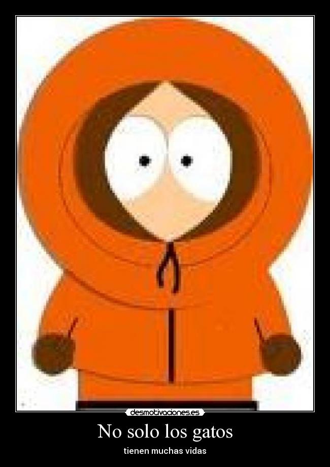 No solo los gatos -