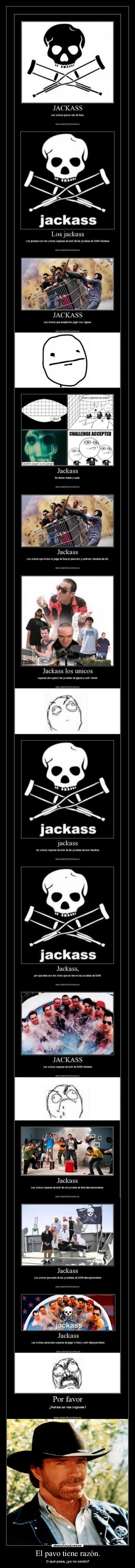 El pavo tiene razón. - 