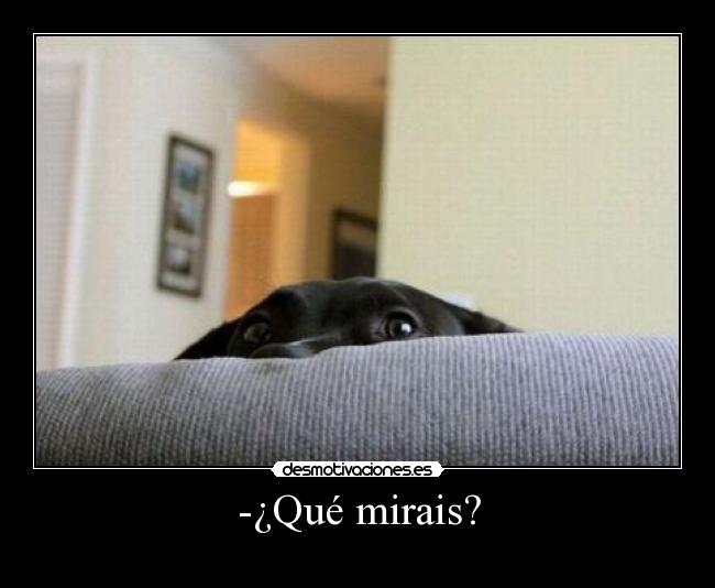 -¿Qué mirais? - 
