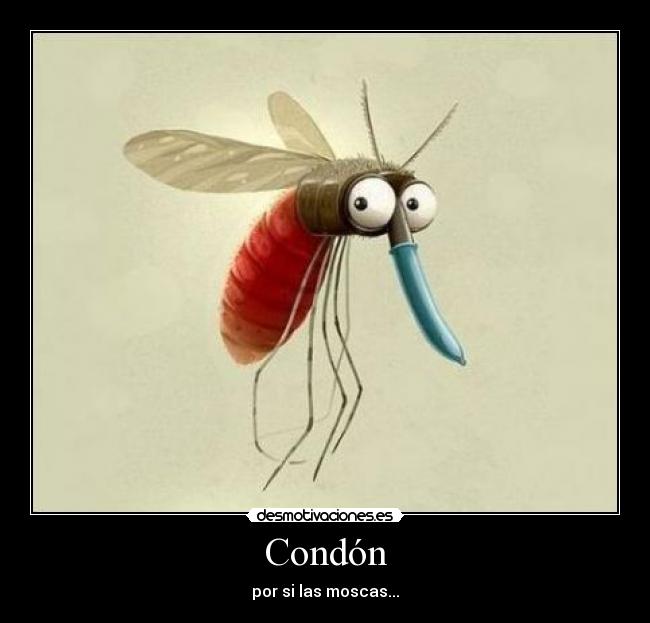 Condón -