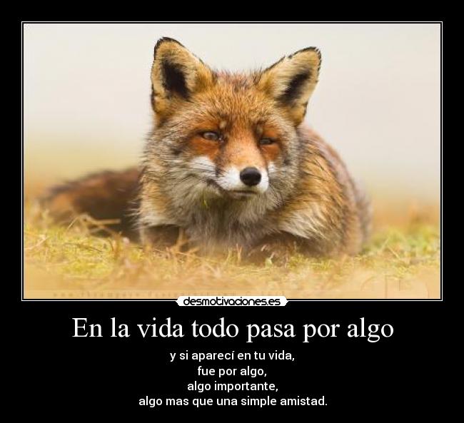 carteles vida pauesquii12 desmotivaciones