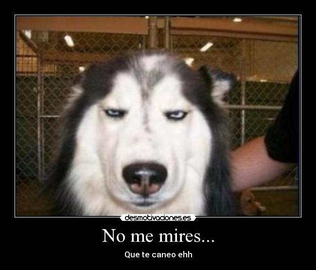 No me mires... -