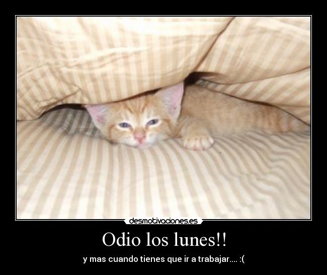 Odio los lunes!! -