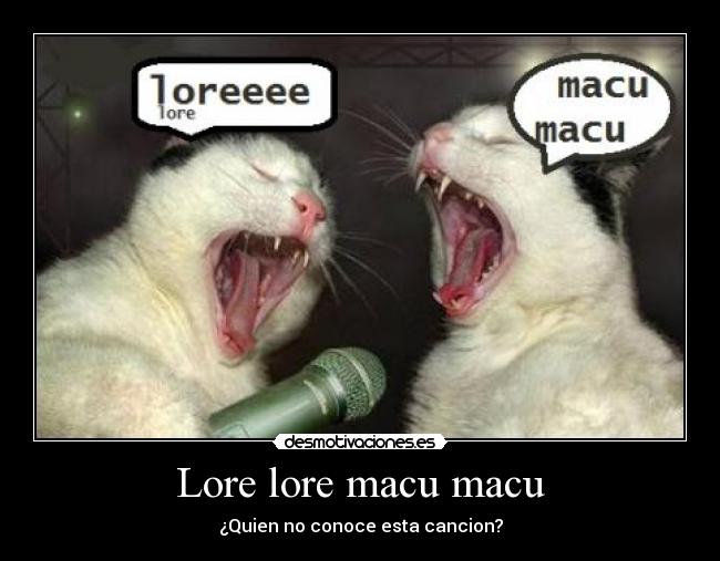carteles lore lore macu macu desmotivaciones