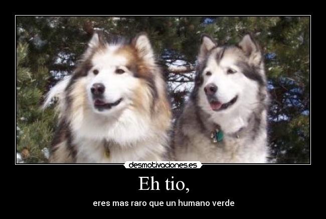 Eh tio, - eres mas raro que un humano verde